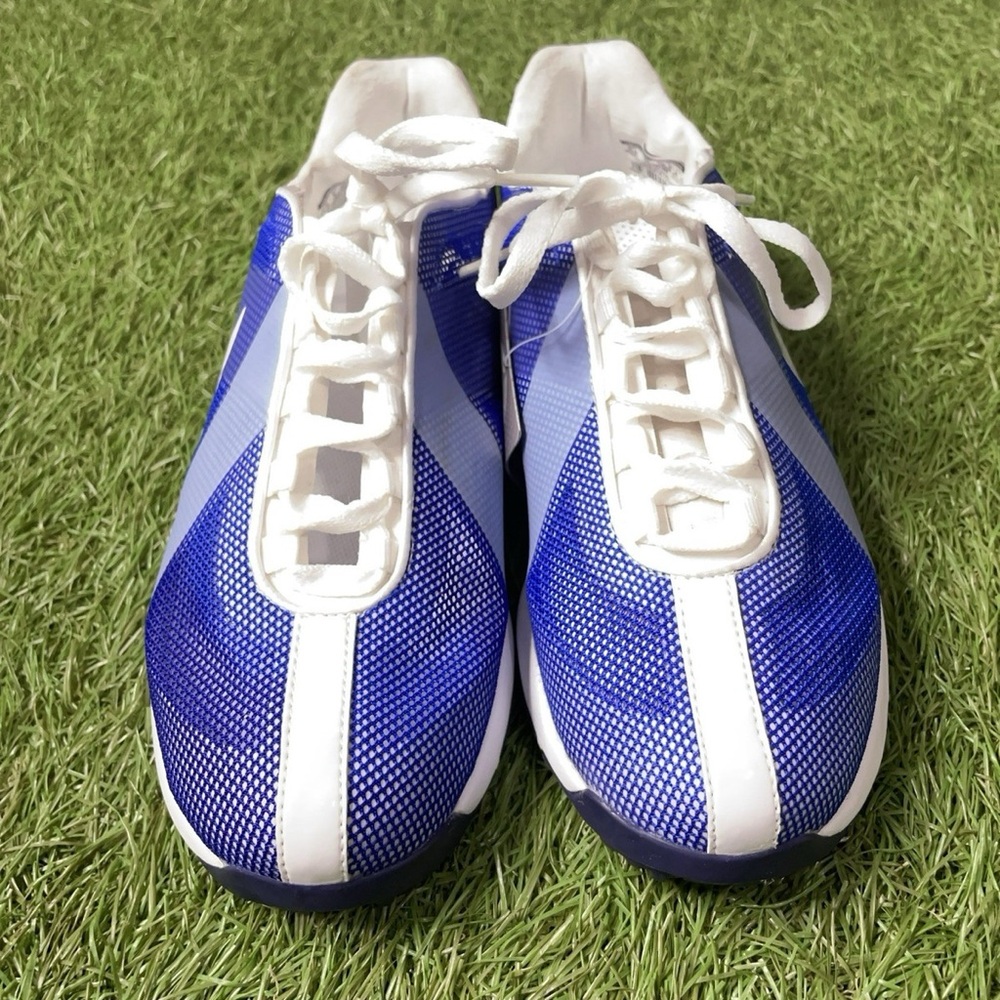 Nike Blue and White Athletic Running Shoes